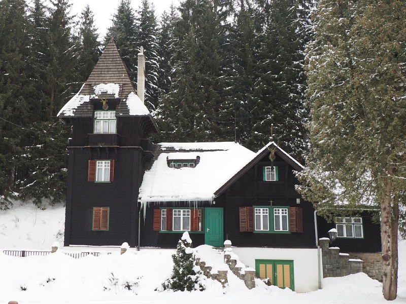 Bílá