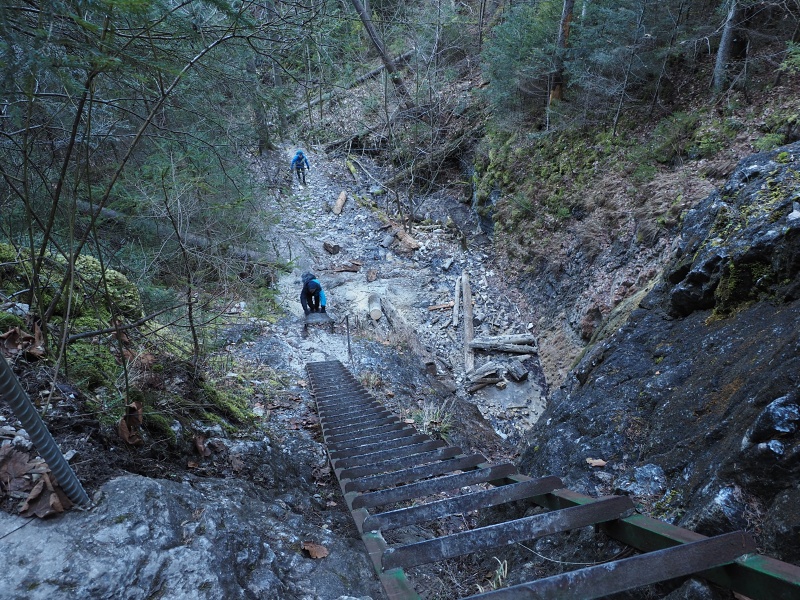 Kláštorská roklina