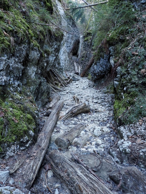 Kláštorská roklina