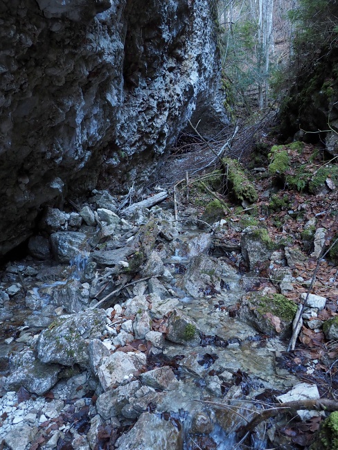 Sokolia dolina