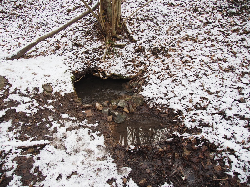studánka Járy Cimrmana