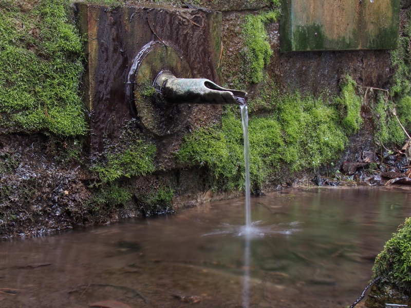 Dykova studánka