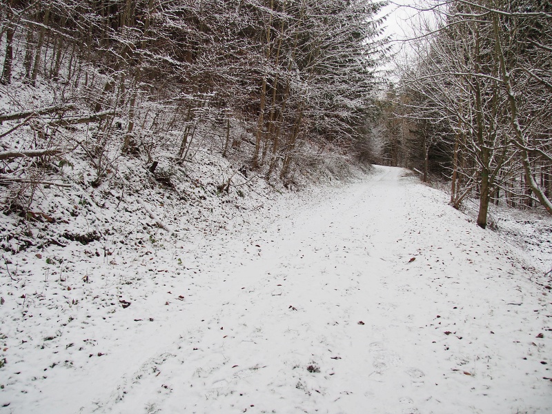 Kašparova studánka