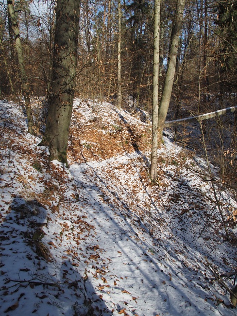 Pěšina Karla Morávka