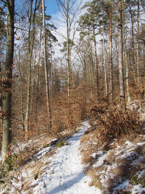 Pěšina Karla Morávka