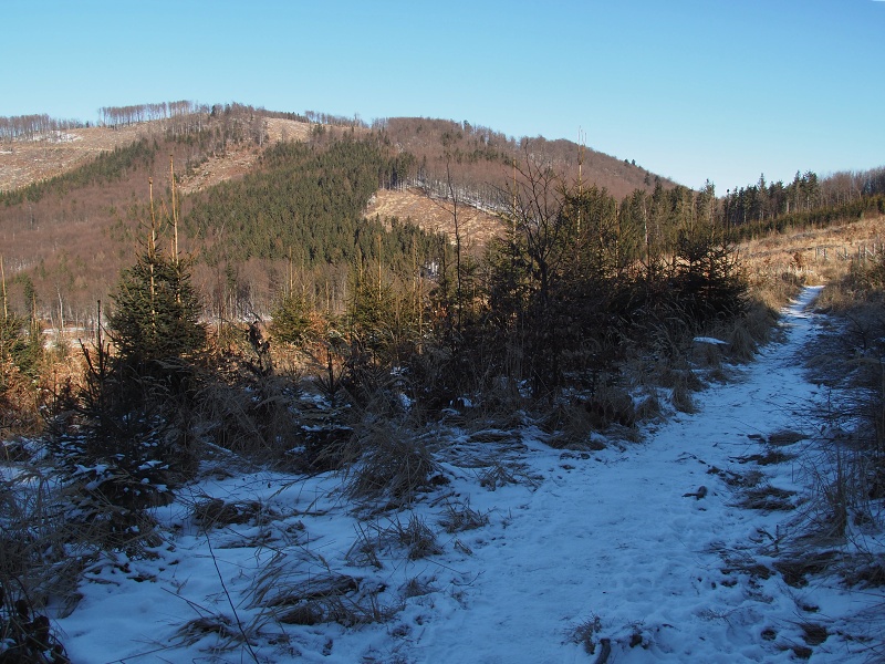 Čerňava