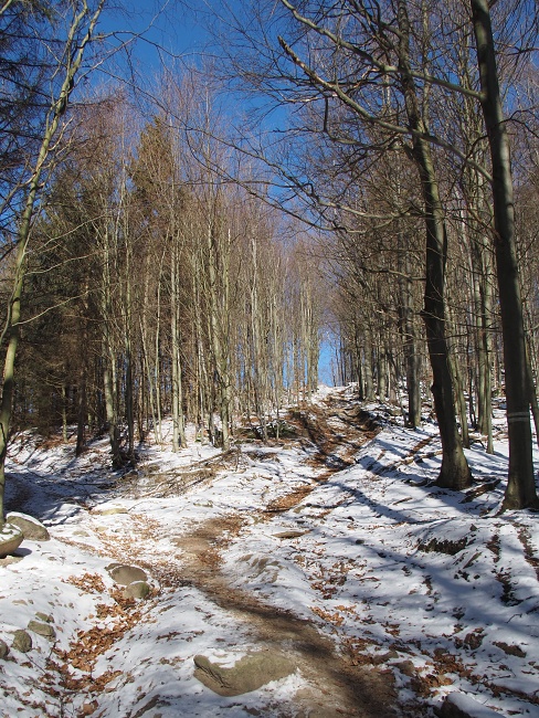 Čerňava