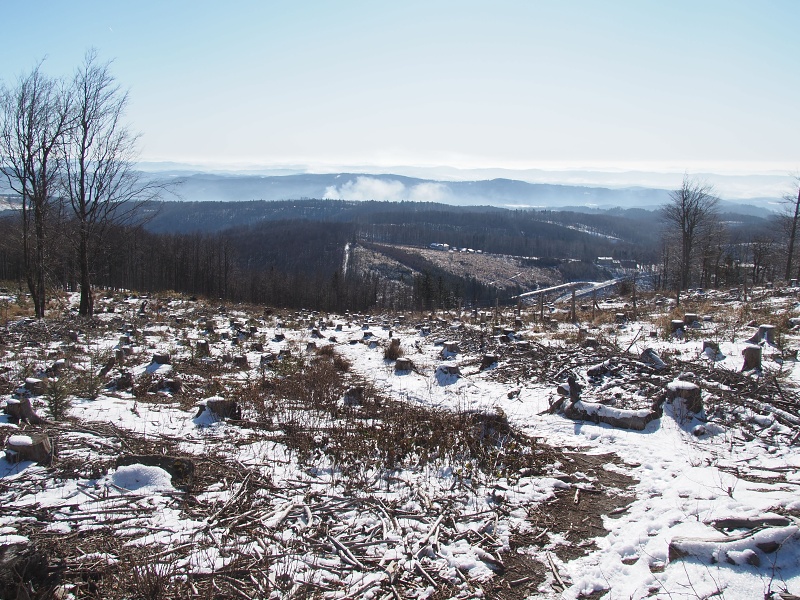 Čerňava