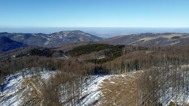 Čerňava
