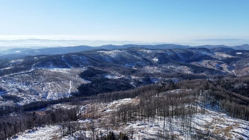 Čerňava