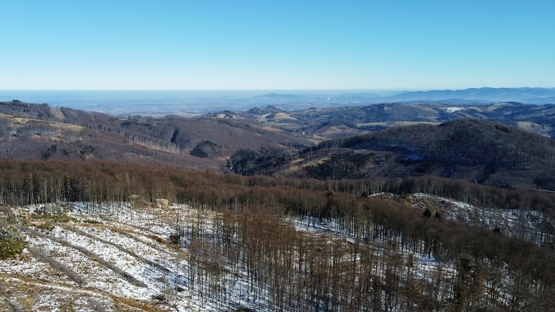 Čerňava