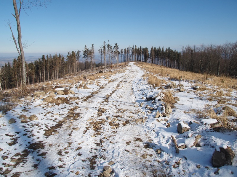 Kelčský Javorník