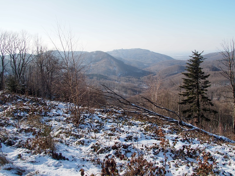 Kyčera