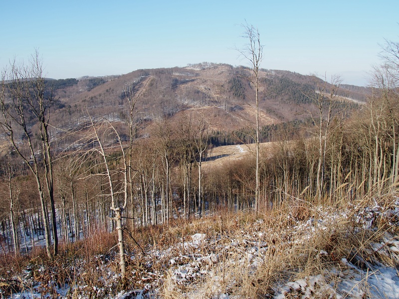 Kyčera