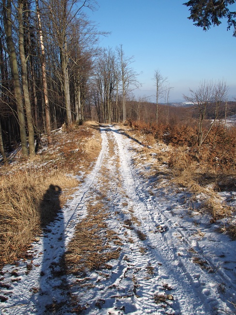 Kyčera
