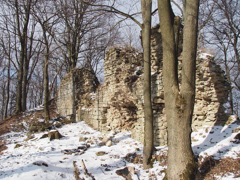 zřícenina hradu Obřany