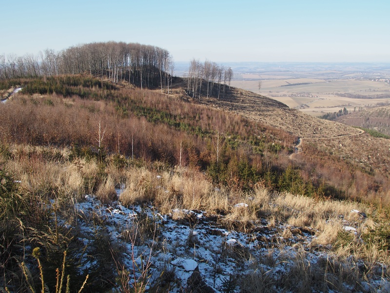 Šaumburk