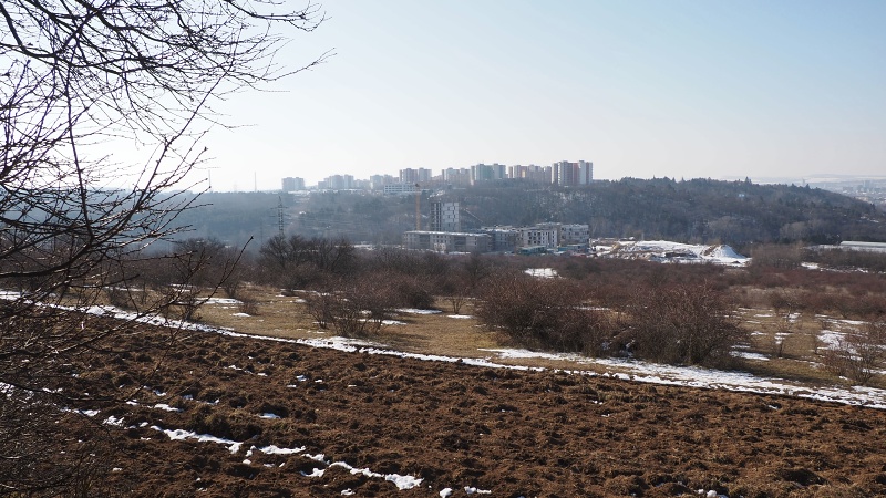 Hády