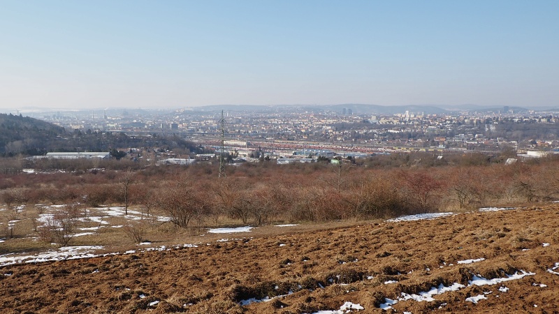 Hády