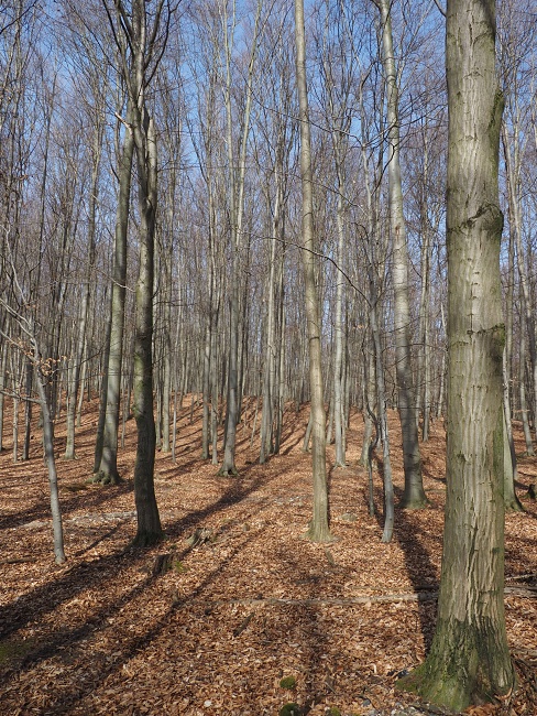 Kolovrátok