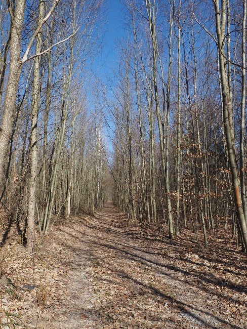 lokalita Skalka