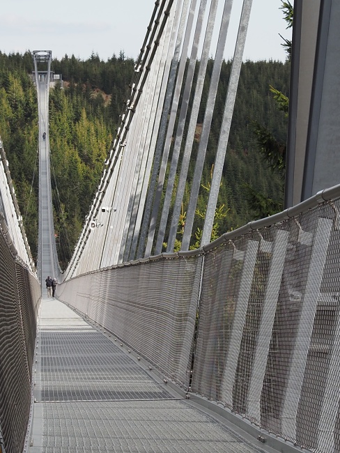 Sky Bridge