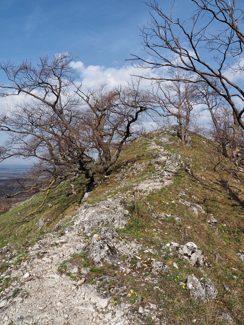 Jelenia skala