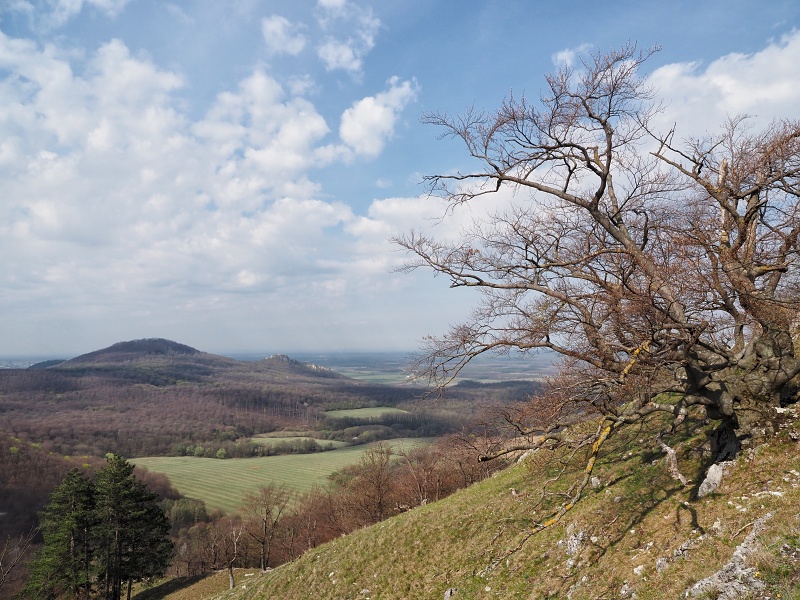 Jelenia skala