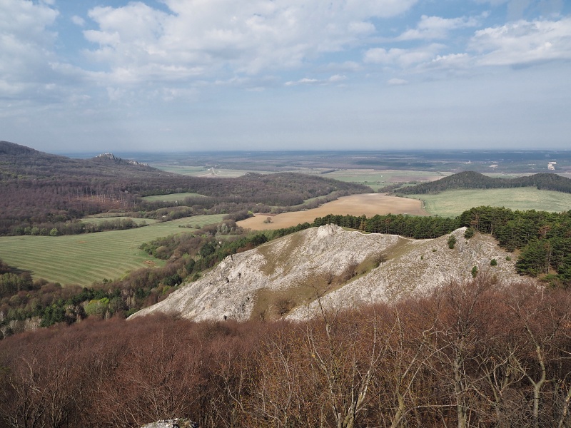 Jelenia skala