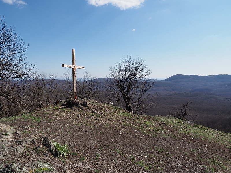 Klokoč