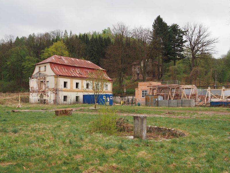 Bělověs