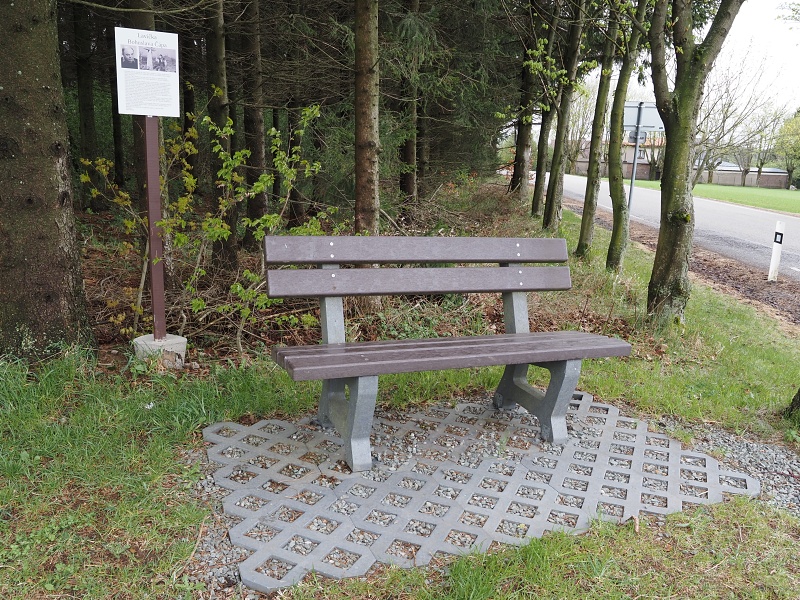 Borová