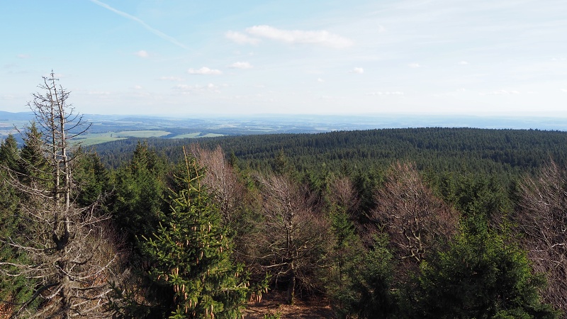 Anenský vrch