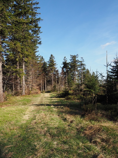 Anenský vrch