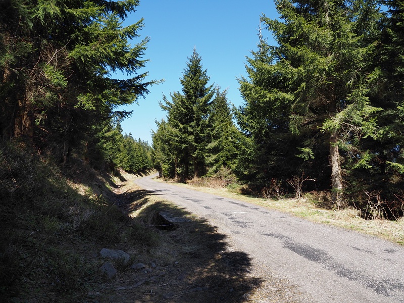 pod Jelenkou (1083 m) a Korunou (1101 m)