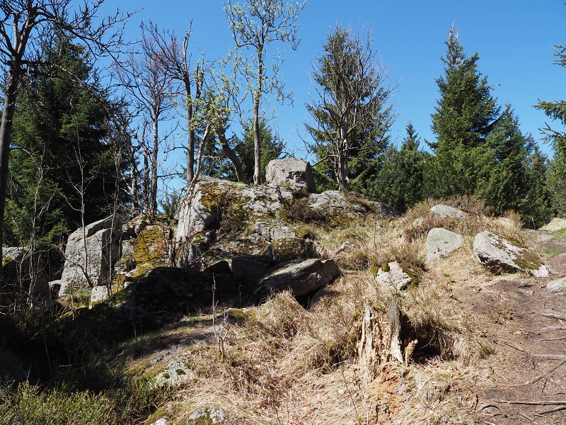přes Homoli (1001 m) a Tetřevec (1043 m)