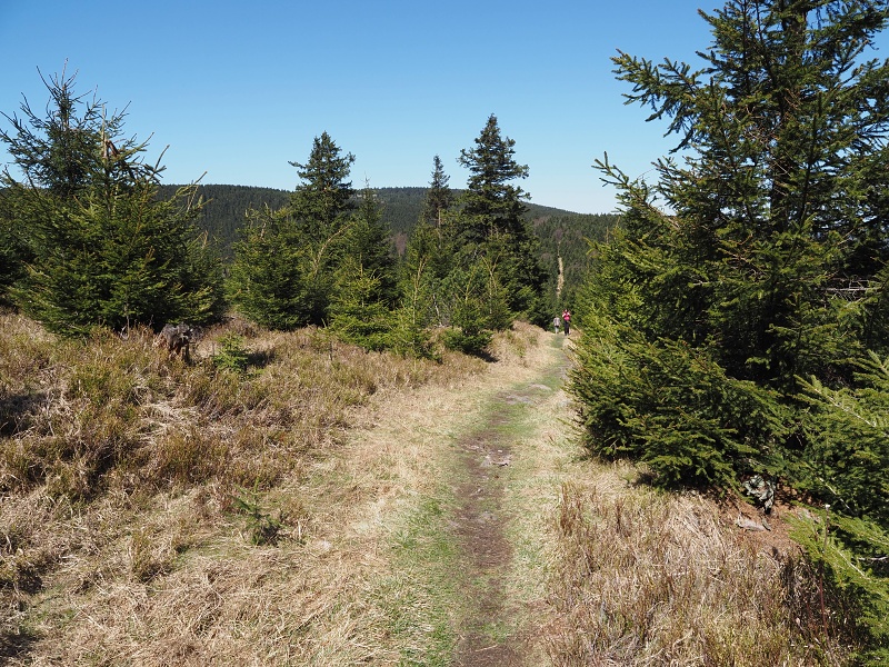 přes Homoli (1001 m) a Tetřevec (1043 m)