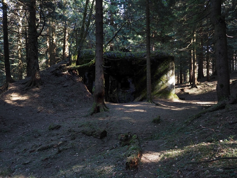 Komáří vrch