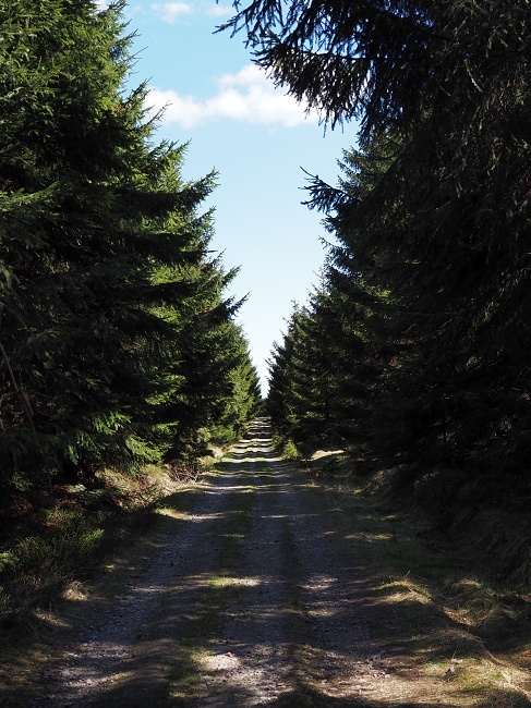 Pěticestí