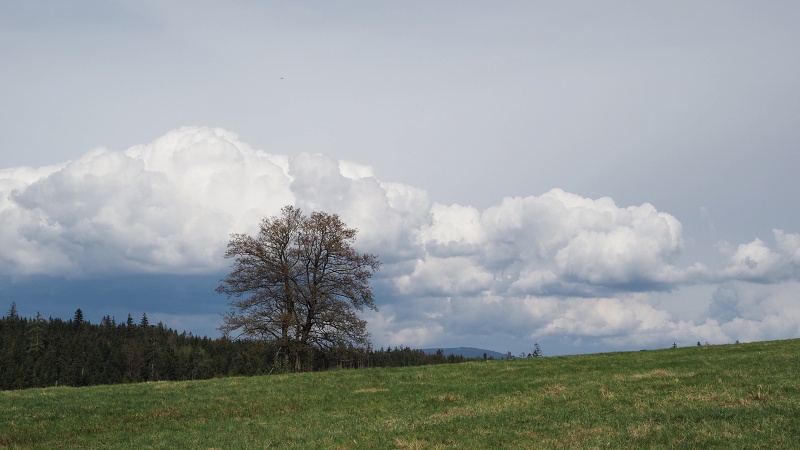 Czerwony Strumien