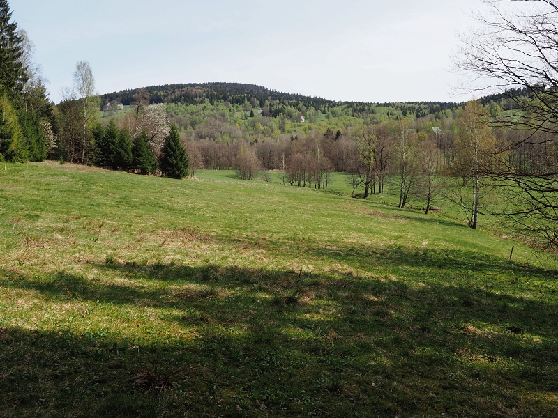 Vrchní Orlice
