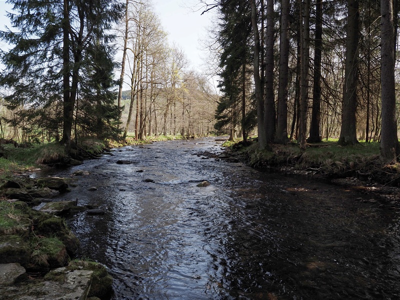 Vrchní Orlice