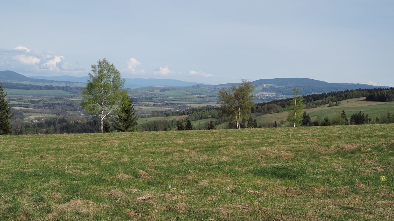 Petrovičky