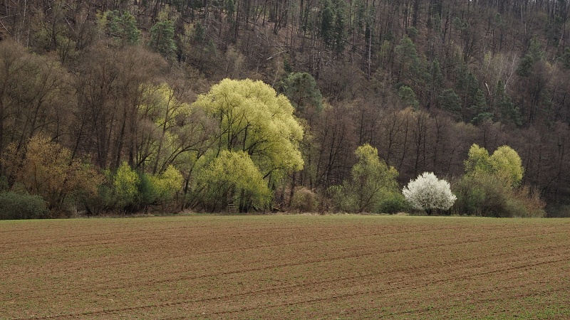 Budkovice