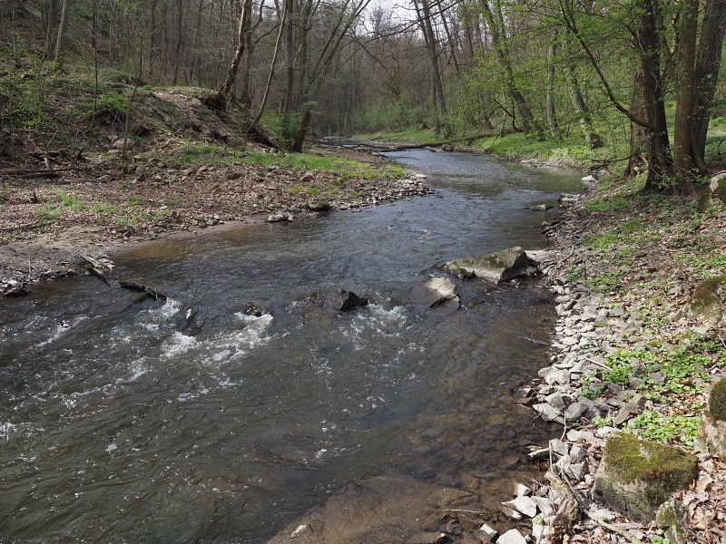 Rokytná
