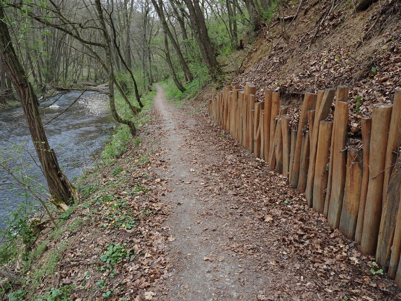 Rokytná