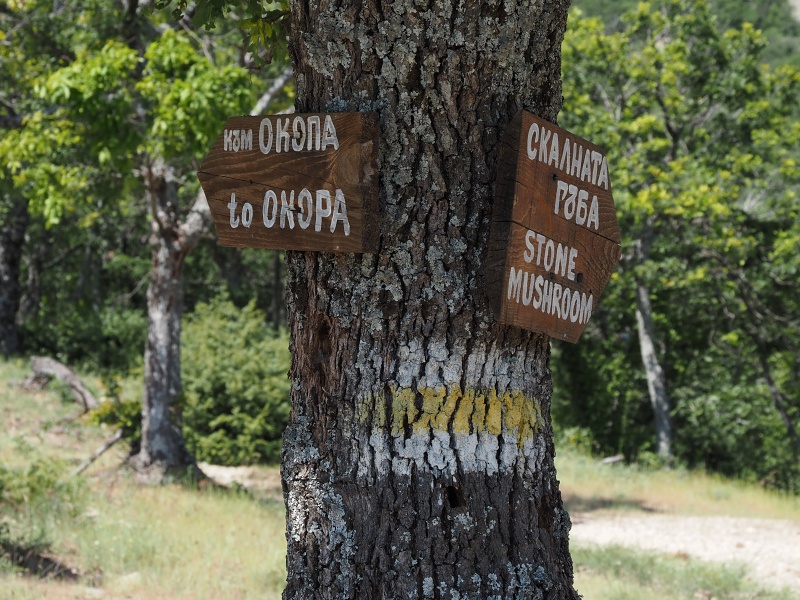 Madžarovo
