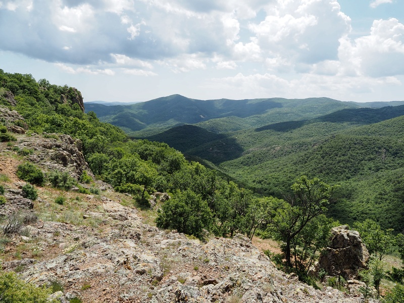 Madžarovo