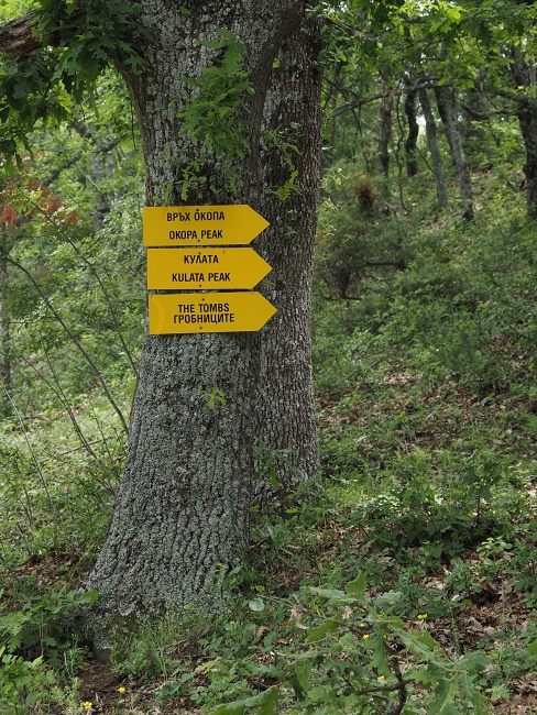 Madžarovo
