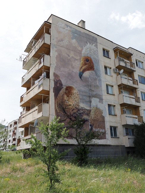 Madžarovo